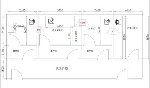 pcr实验室设计